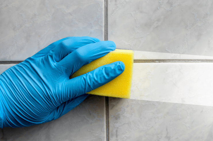 Maximun Cleaning and Painting